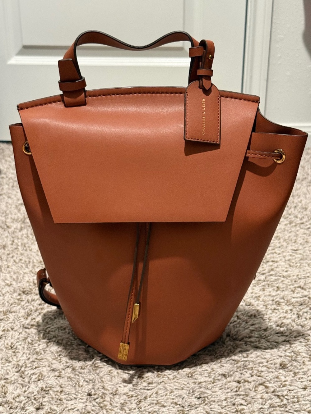 Charles & Keith Backpack